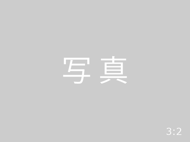 仮