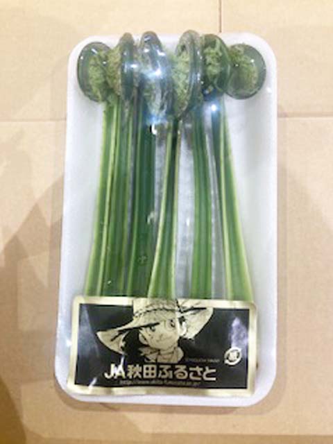 こごみ