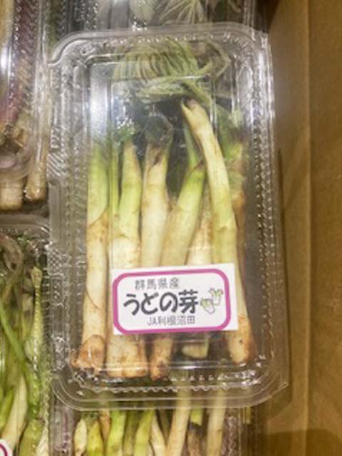 うどの芽